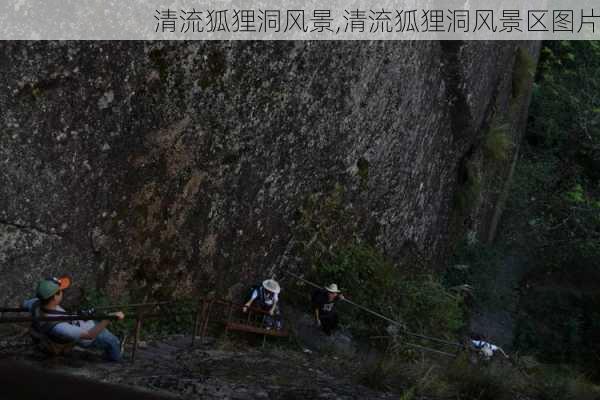 清流狐狸洞风景,清流狐狸洞风景区图片