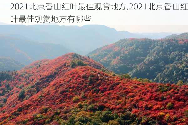 2021北京香山红叶最佳观赏地方,2021北京香山红叶最佳观赏地方有哪些