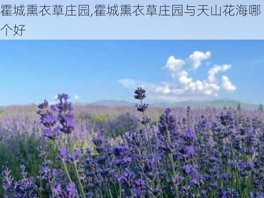 霍城熏衣草庄园,霍城熏衣草庄园与天山花海哪个好