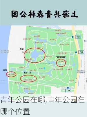 青年公园在哪,青年公园在哪个位置