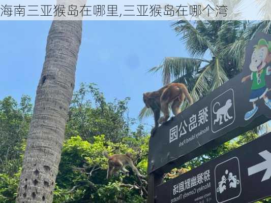 海南三亚猴岛在哪里,三亚猴岛在哪个湾