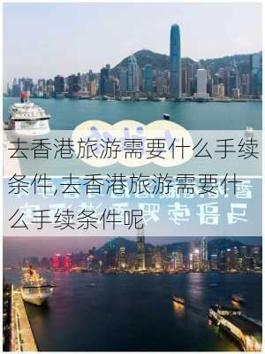 去香港旅游需要什么手续条件,去香港旅游需要什么手续条件呢