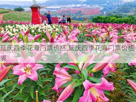 延庆四季花海门票价格,延庆四季花海门票价格表