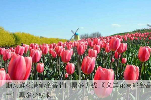 顺义鲜花港郁金香节门票多少钱,顺义鲜花港郁金香节门票多少钱啊