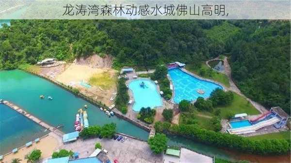 龙涛湾森林动感水城佛山高明,