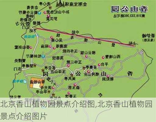 北京香山植物园景点介绍图,北京香山植物园景点介绍图片