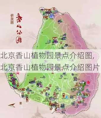 北京香山植物园景点介绍图,北京香山植物园景点介绍图片