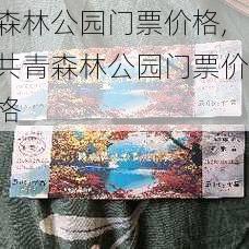 森林公园门票价格,共青森林公园门票价格