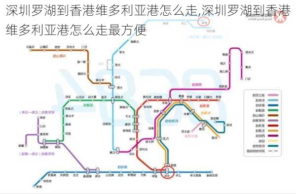 深圳罗湖到香港维多利亚港怎么走,深圳罗湖到香港维多利亚港怎么走最方便