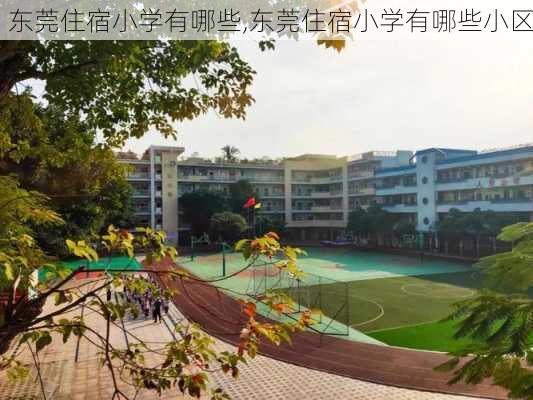 东莞住宿小学有哪些,东莞住宿小学有哪些小区