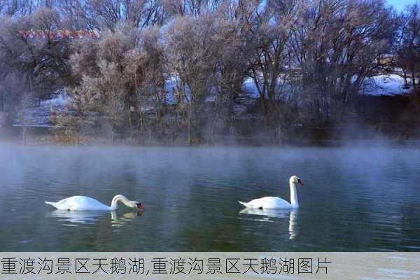 重渡沟景区天鹅湖,重渡沟景区天鹅湖图片