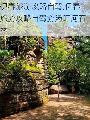 伊春旅游攻略自驾,伊春旅游攻略自驾游汤旺河石林