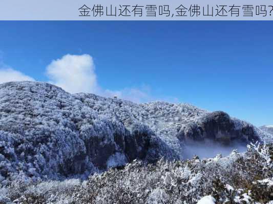 金佛山还有雪吗,金佛山还有雪吗?