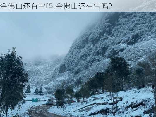 金佛山还有雪吗,金佛山还有雪吗?