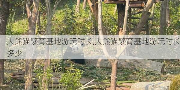 大熊猫繁育基地游玩时长,大熊猫繁育基地游玩时长多少