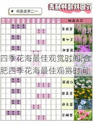 四季花海最佳观赏时间,合肥四季花海最佳观赏时间