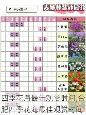 四季花海最佳观赏时间,合肥四季花海最佳观赏时间