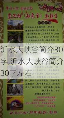 沂水大峡谷简介30字,沂水大峡谷简介30字左右