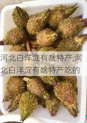 河北白洋淀有啥特产,河北白洋淀有啥特产吃的