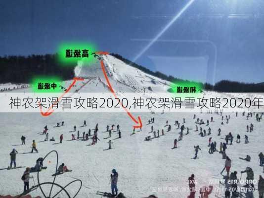 神农架滑雪攻略2020,神农架滑雪攻略2020年