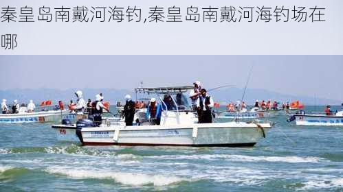 秦皇岛南戴河海钓,秦皇岛南戴河海钓场在哪