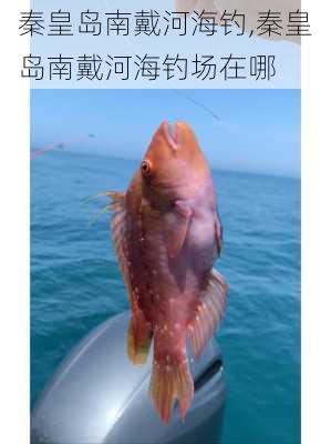 秦皇岛南戴河海钓,秦皇岛南戴河海钓场在哪