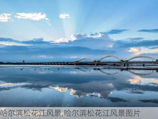 哈尔滨松花江风景,哈尔滨松花江风景图片