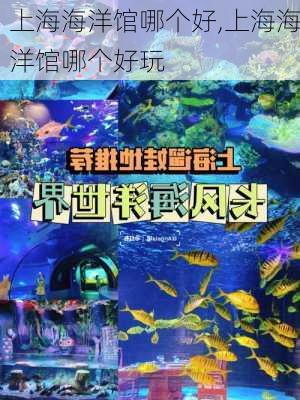 上海海洋馆哪个好,上海海洋馆哪个好玩