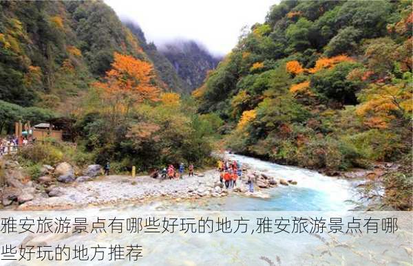 雅安旅游景点有哪些好玩的地方,雅安旅游景点有哪些好玩的地方推荐