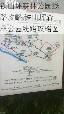 铁山坪森林公园线路攻略,铁山坪森林公园线路攻略图