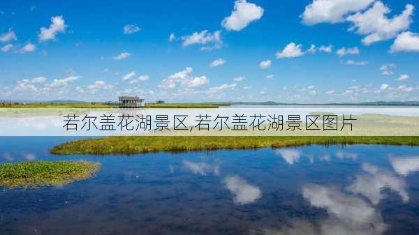 若尔盖花湖景区,若尔盖花湖景区图片