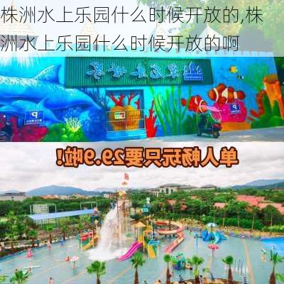 株洲水上乐园什么时候开放的,株洲水上乐园什么时候开放的啊