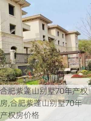 合肥紫蓬山别墅70年产权房,合肥紫蓬山别墅70年产权房价格