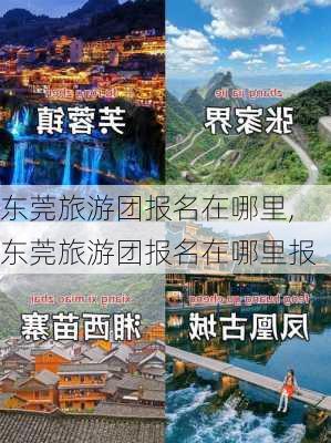 东莞旅游团报名在哪里,东莞旅游团报名在哪里报