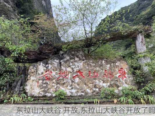 东拉山大峡谷 开放,东拉山大峡谷开放了吗