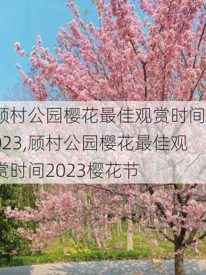 顾村公园樱花最佳观赏时间2023,顾村公园樱花最佳观赏时间2023樱花节