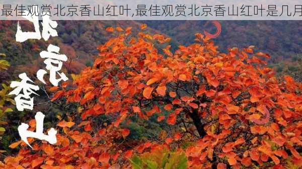 最佳观赏北京香山红叶,最佳观赏北京香山红叶是几月