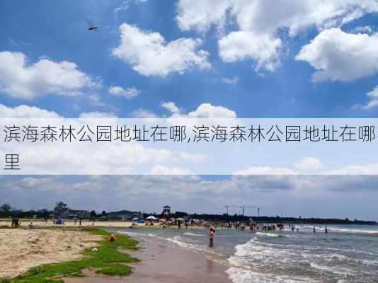 滨海森林公园地址在哪,滨海森林公园地址在哪里