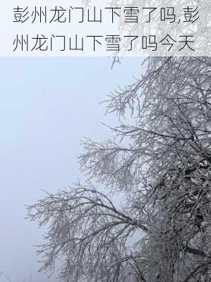 彭州龙门山下雪了吗,彭州龙门山下雪了吗今天