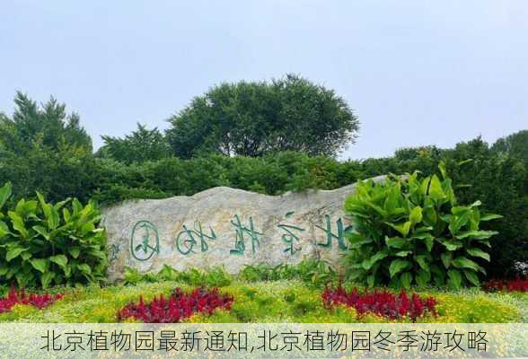 北京植物园最新通知,北京植物园冬季游攻略