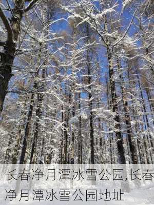 长春净月潭冰雪公园,长春净月潭冰雪公园地址