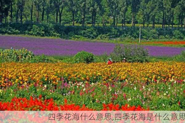 四季花海什么意思,四季花海是什么意思