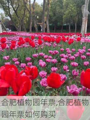 合肥植物园年票,合肥植物园年票如何购买