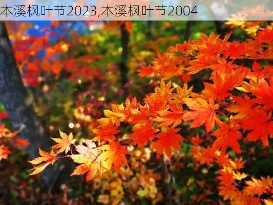 本溪枫叶节2023,本溪枫叶节2004