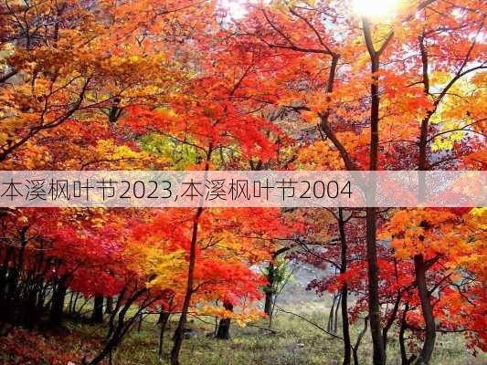 本溪枫叶节2023,本溪枫叶节2004