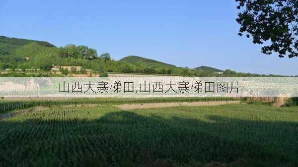 山西大寨梯田,山西大寨梯田图片