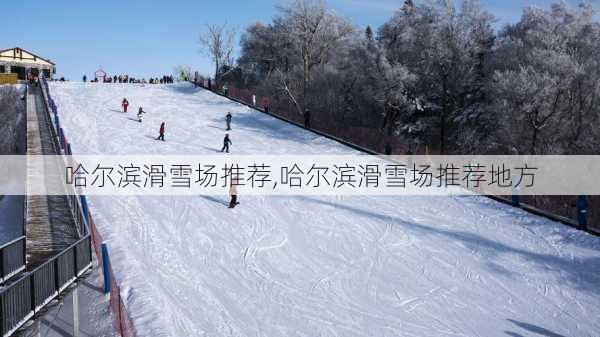 哈尔滨滑雪场推荐,哈尔滨滑雪场推荐地方