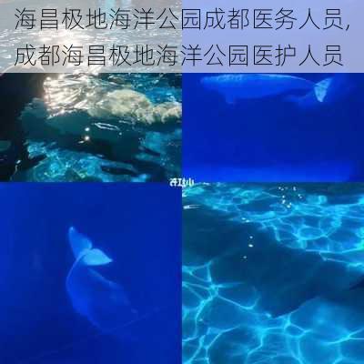 海昌极地海洋公园成都医务人员,成都海昌极地海洋公园医护人员