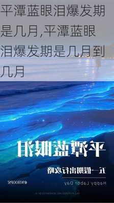 平潭蓝眼泪爆发期是几月,平潭蓝眼泪爆发期是几月到几月