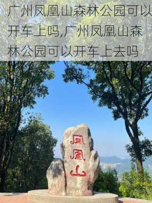 广州凤凰山森林公园可以开车上吗,广州凤凰山森林公园可以开车上去吗